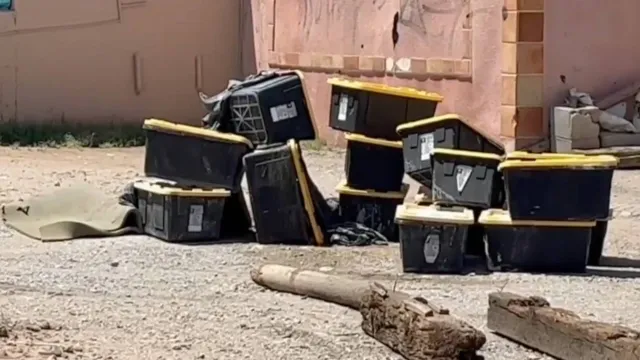 Hallan Abandonados Contenedores con Tortugas en Ciudad Juárez