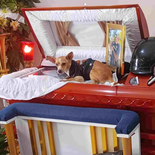 Perrito Acude a Funeral de su Dueño que Murió en Accidente en Moto