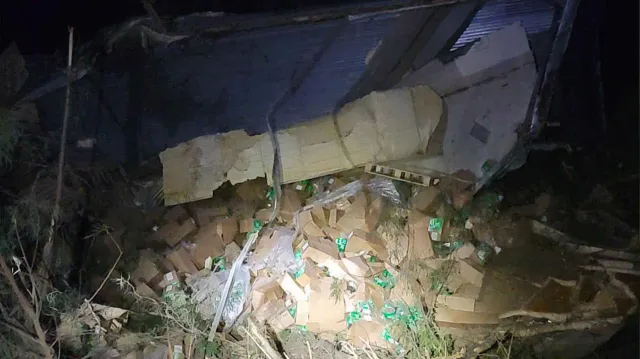 La carga del tráiler quedó tirada fuera de la cinta asfáltica, situación que aprovecharon pobladores para realizar acto de rapiña. Foto: X @Noticias_Tams