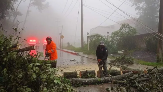 Árboles Caídos por Fuertes Lluvias en el Arco Oriente en Teziutlán, Puebla. Foto: N+