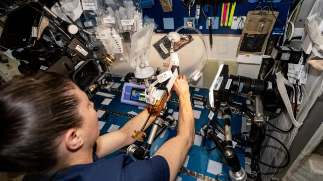 Astronauta trabaja en la investigación del pulmón Gaucho