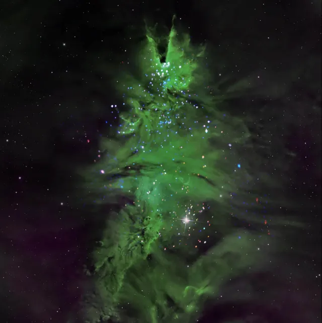 Grupo de estrellas NGC 2264 en la Vía Láctea. Foto: NASA