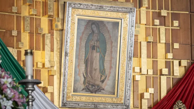 Virgen de Guadalupe, símbolos