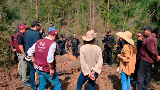 Operativo Bosque de Agua