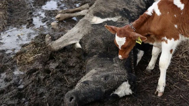 Foto: Reuters.