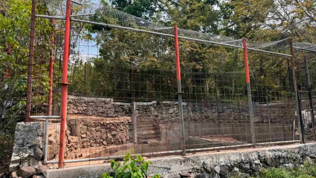 PROFEPA reporta irregularidades en jaulas de especies silvestres de recinto de Veracruz. Foto: PROFEPA