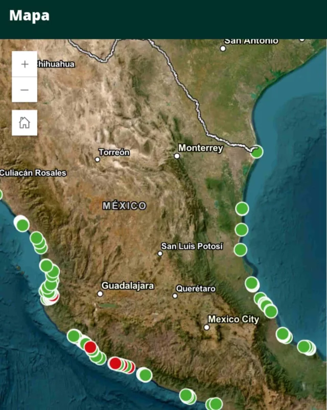 App Playas Mx: ¿Cómo Consultar Calidad del Agua del Mar desde tu Celular estas Vacaciones? 