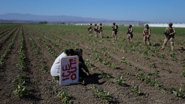 Campo agrícola donde se realizan redadas produce el 35% de los alimentos que se consumen en EUA. Foto: Reuters