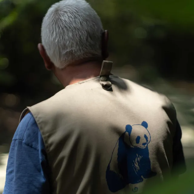 Xin Xin: ¿Quiénes son los Cuidadores de la Última Panda del Zoológico de Chapultepec?
