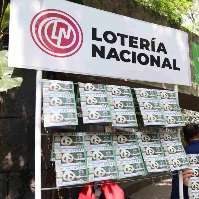 Billete de Lotería de Xin Xin, la Última Panda Mexicana; Así lo Consigues 