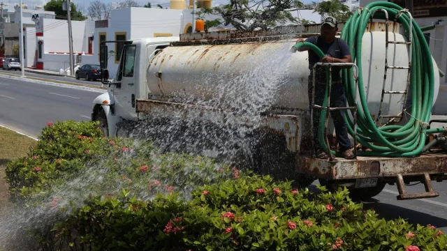 Riego de plantas en Ciudad de México