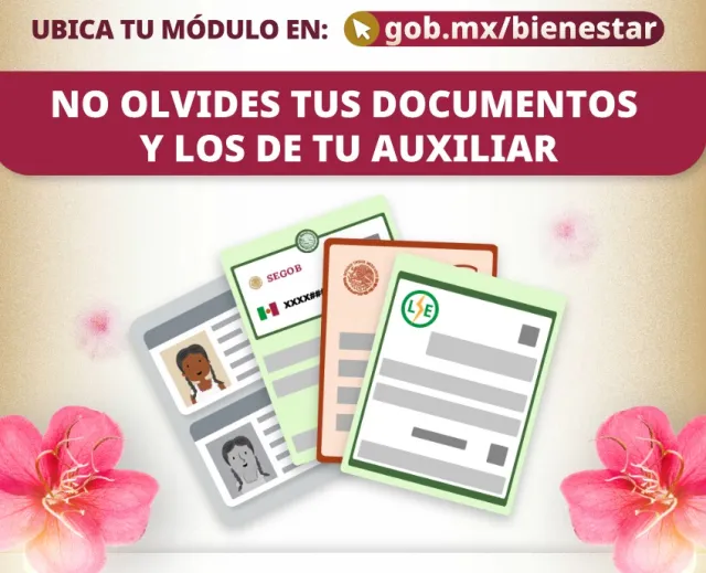 Tanto la persona que será registrada como el auxiliar deben llevar sus documentos. Foto: Gobierno de México