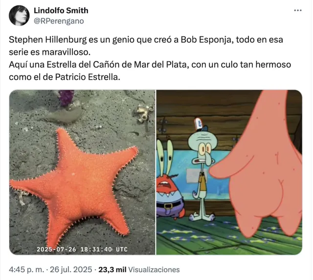 Estrella de mar argentina suscitó memes