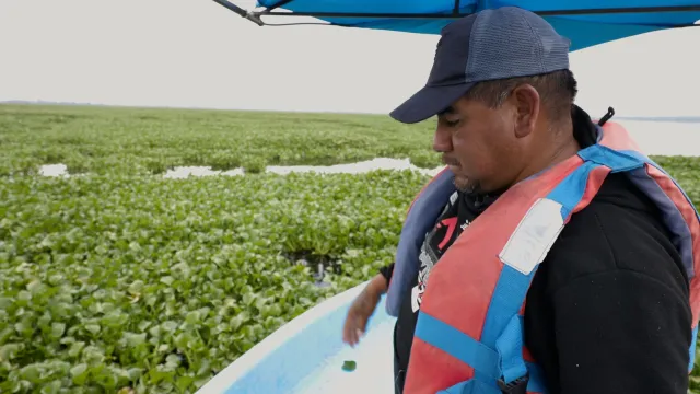 Lanchero observa lirio acuático en la Laguna de Zumpango