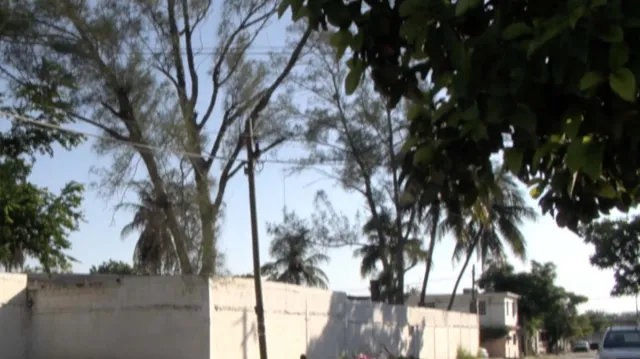 Caso de Presunto Acoso a Menor de Edad en Primaria de Tampico