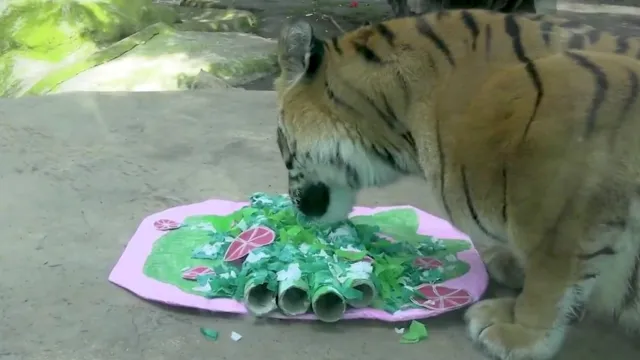 Animales del Zoológico Celebran Independencia de México 2025