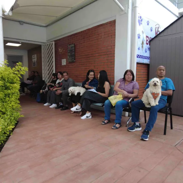 Hospital Veterinario CDMX: Así es la Nueva Clínica con Ambulancia y Atención 24 Horas a Mascotas 