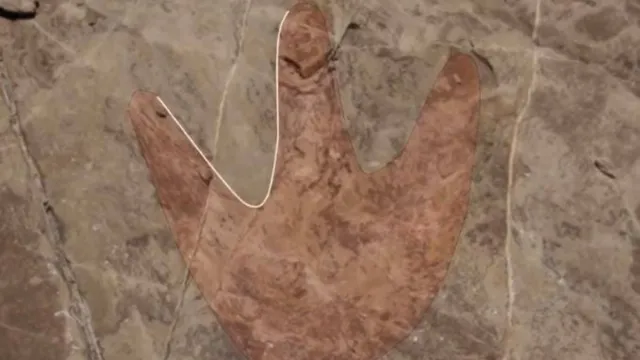 Trazo de posibles huella de un dinosaurio en Puebla. Foto: Gobierno de Tehuacán