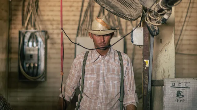 En la bodega, la mayoría de los trabajadores son menores de 30 años. (Foto: N+)