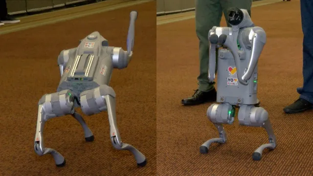 Robot "Tommy Bot" trabaja con sensores de Inteligencia Artificial. Foto: Alfredo Santos | N+