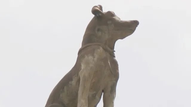 Cuenta la leyenda que un perro hizo millonaria a una familia en Puebla. Foto: Alejandro Sánchez | N+