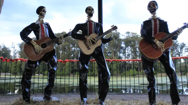 A lo largo del Festival "Catrinerías" se pueden encontrar diversos tipos de catrines y catrinas