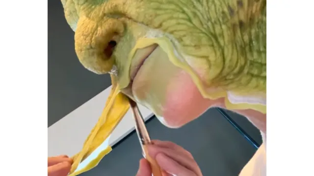 La súper modelo compartió adelantos de su disfraz en Instagram.