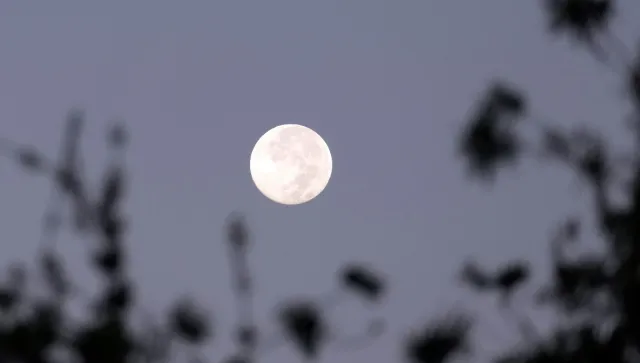 Luna de Cosecha 2025