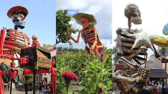 El organillero, el jimador y el globero en el Valle de Catrinas 2025. Foto: Karen Juárez