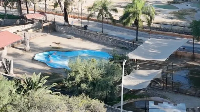 Trabajadores del Zoológico indicaron no haber escuchado ruidos al momento del presunto ataque. Foto: N+