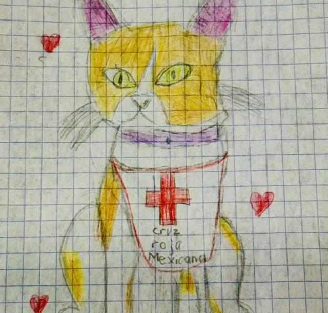 Justicia para Cruzberto: Gatito Voluntario de la Cruz Roja Muere Atropellado en Edomex