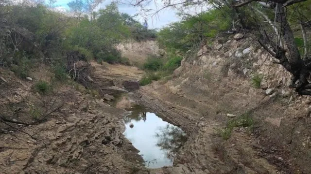 Las huellas de dinosaurios fueron encontrados en los municipios de Atexcal y Tehuacán