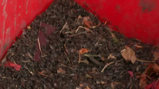 Bote de basura lleno de moscas en fraccionamiento de Tizayuca. Foto: N+