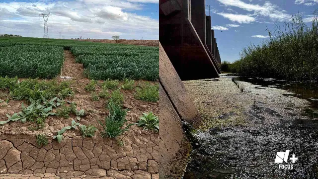 Río Colorado. La disputa por el agua en tiempos de sequía. N+ Focus