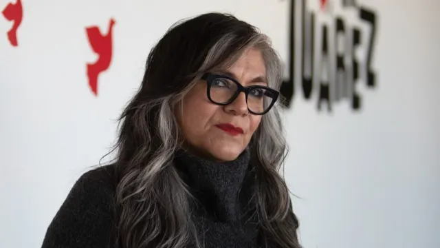 Sylvia Aguilar Zéleny analiza los diarios latinoamericanos en Falsa diarista