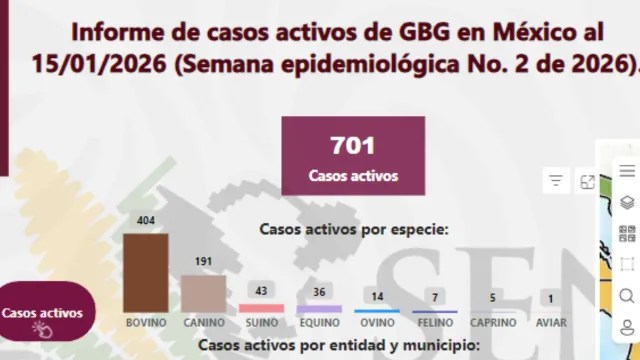 Casos activos al 15 de enero de 2026