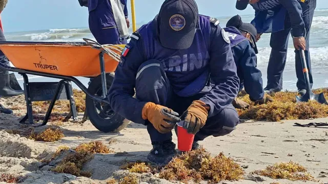Inician Limpieza de Playa Hermosa en Veracruz