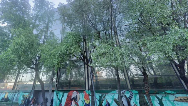 En algún momento albergó oficinas del Gobierno de la CDMX, según la dirección que dieron las autoridades con el 124 de San Antonio Abad. Foto: Google Maps