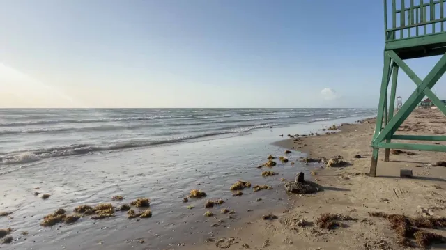 Sin Presencia de Chapopote en Playa Bagdad