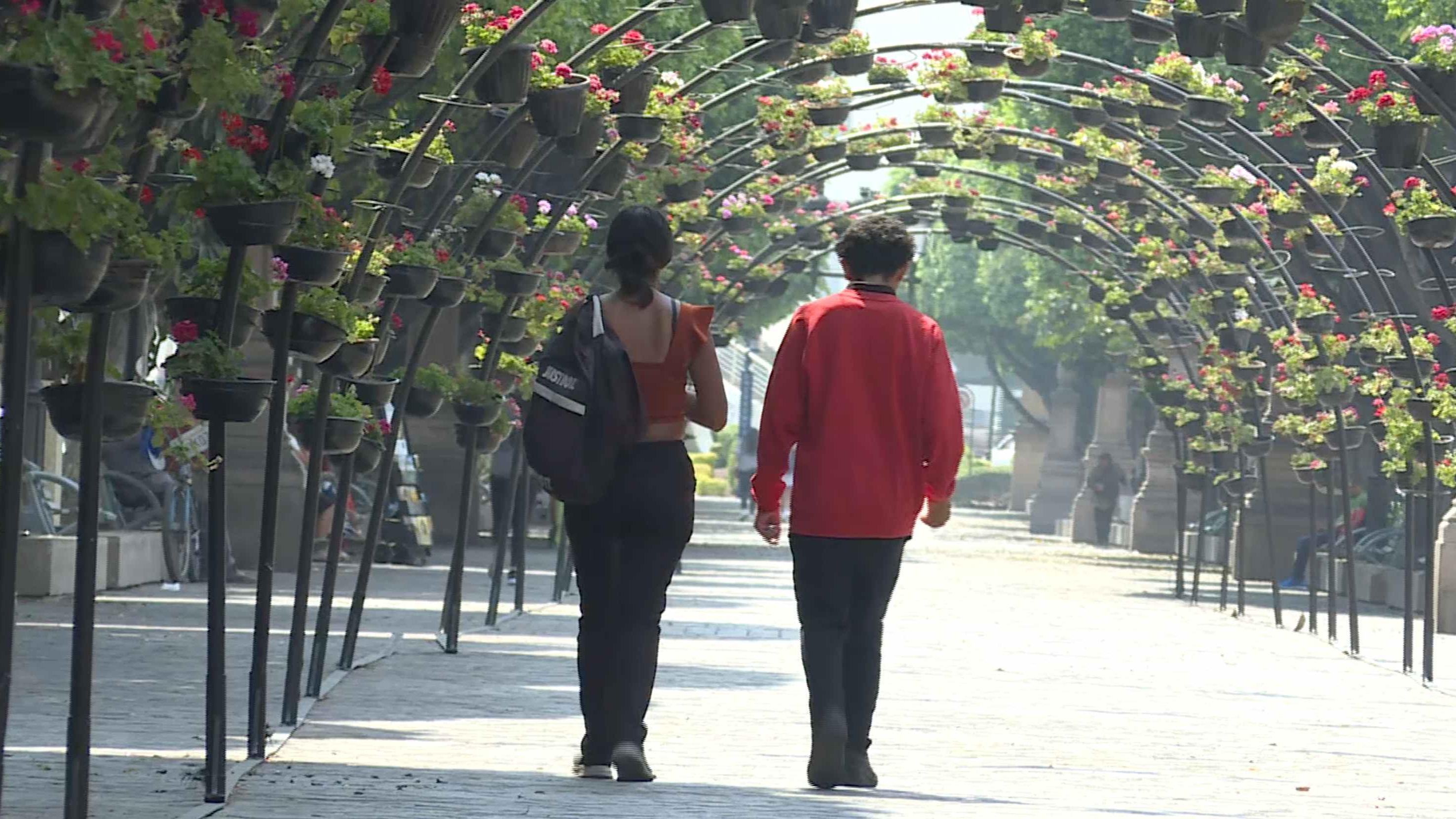 Aumentan Enfermedades del Estómago por Ola de Calor | N+