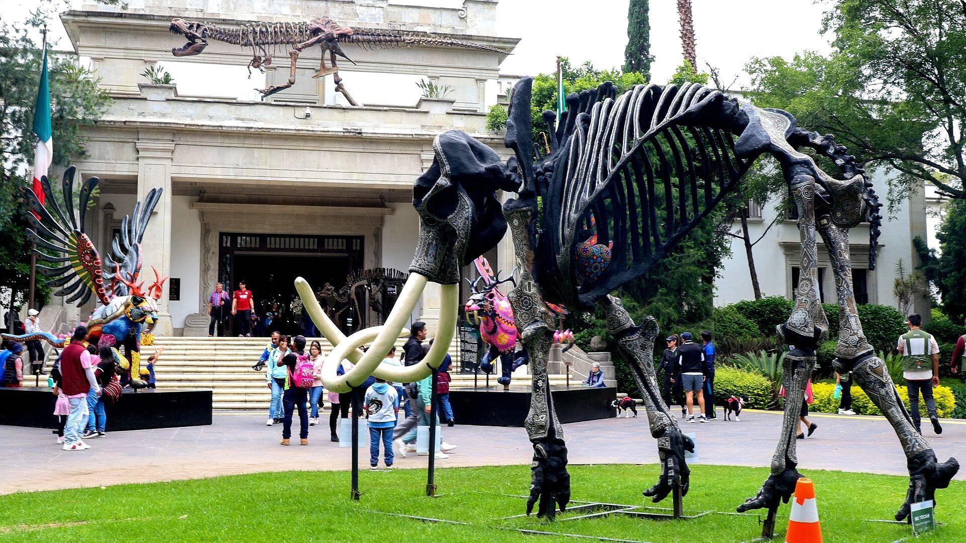 Conociendo una Exposición de Dinosaurios en Los Pinos N+ Conociendo una Exposición de Dinosaurios en Los Pinos N+