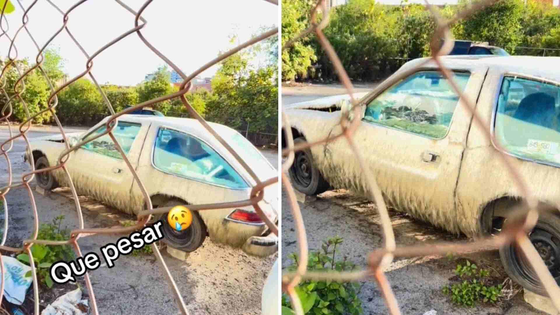Video: Encuentran Auto de la Familia Peluche Deteriorado y Abandonado | N+