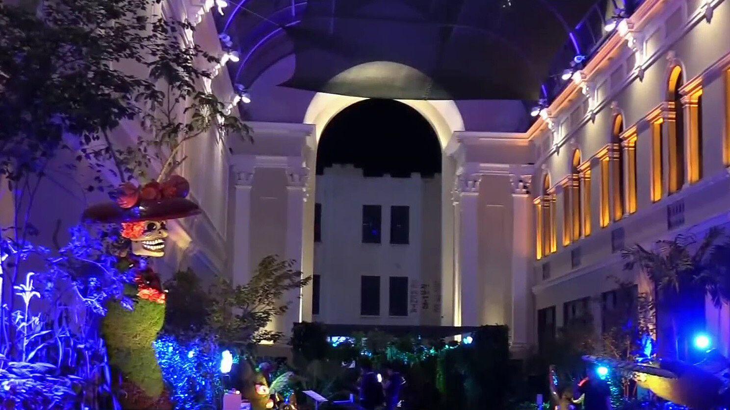 El Paseo de las Flores en Yucat&aacute;n