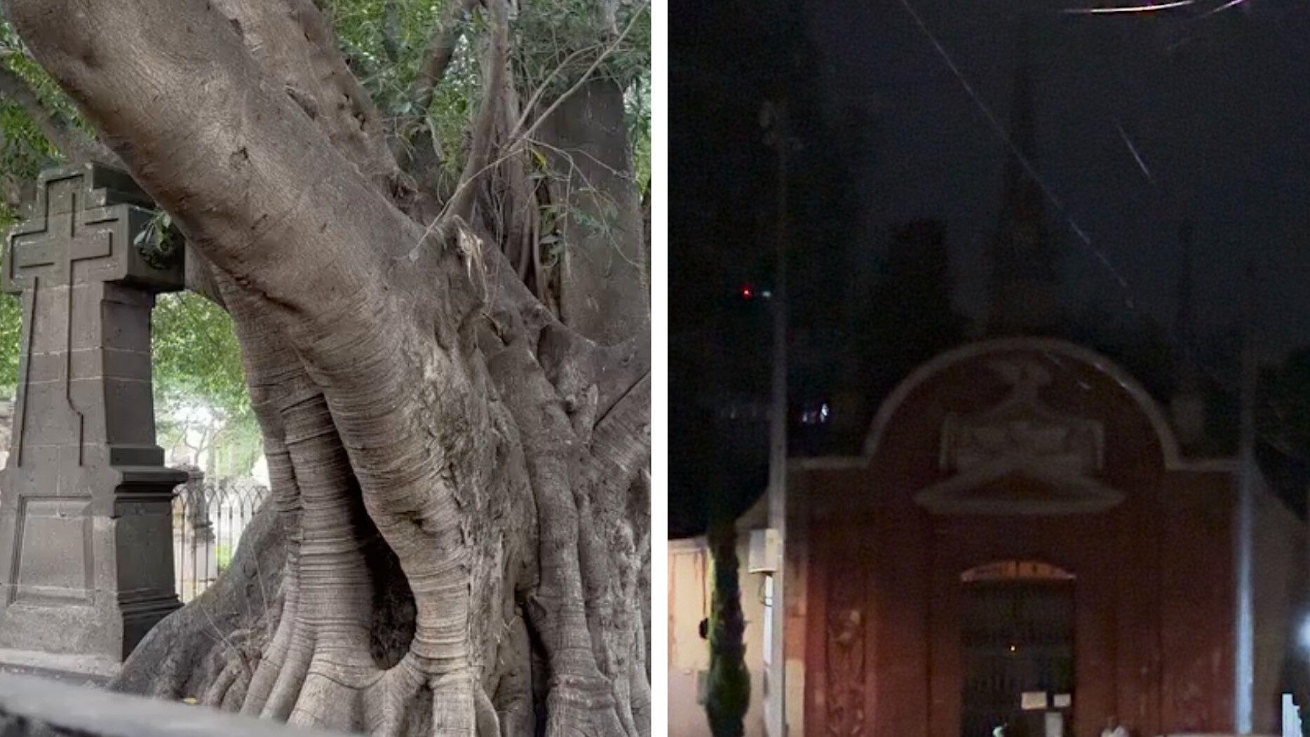 Esta es la Tenebrosa Leyenda del 'Árbol del Vampiro' en el Panteón de