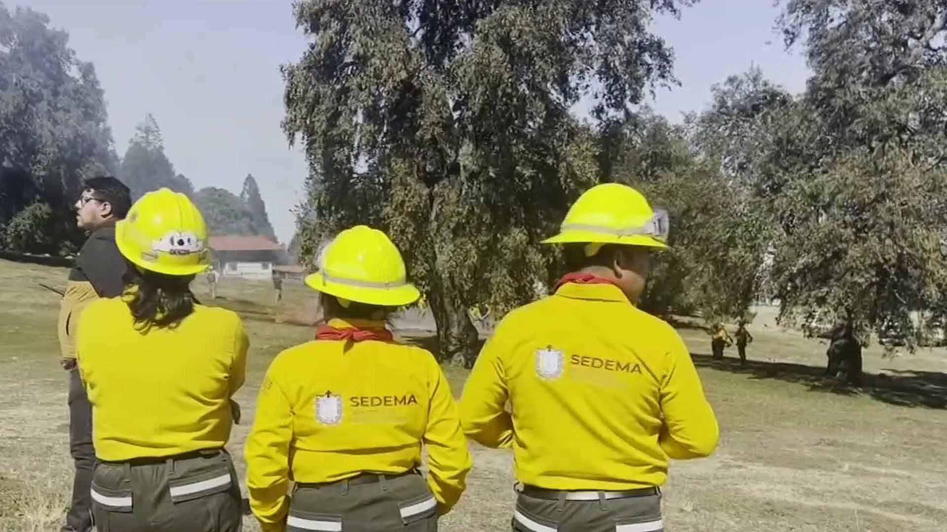 Veracruz se Prepara para Temporada de Incendios Forestales 2024 N+