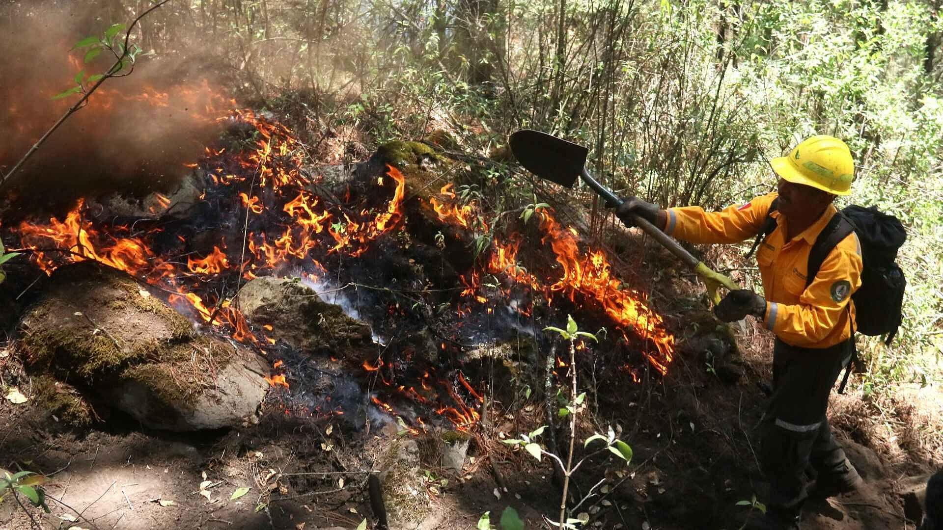 ¿Cuántos Incendios Forestales hay Activos en México? Despierta N+