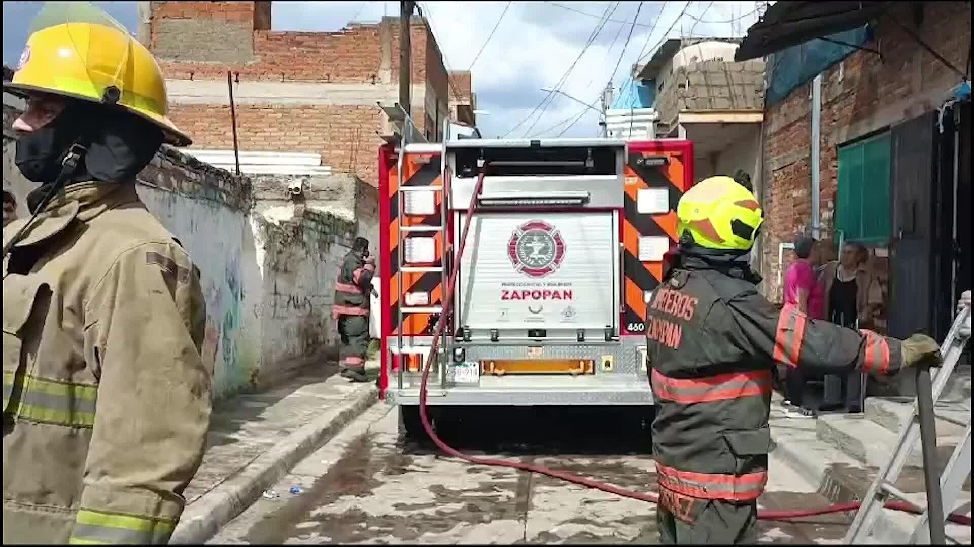 Familia Arriesga su Vida para Salvar a sus Seis Perritos, Pero los ...