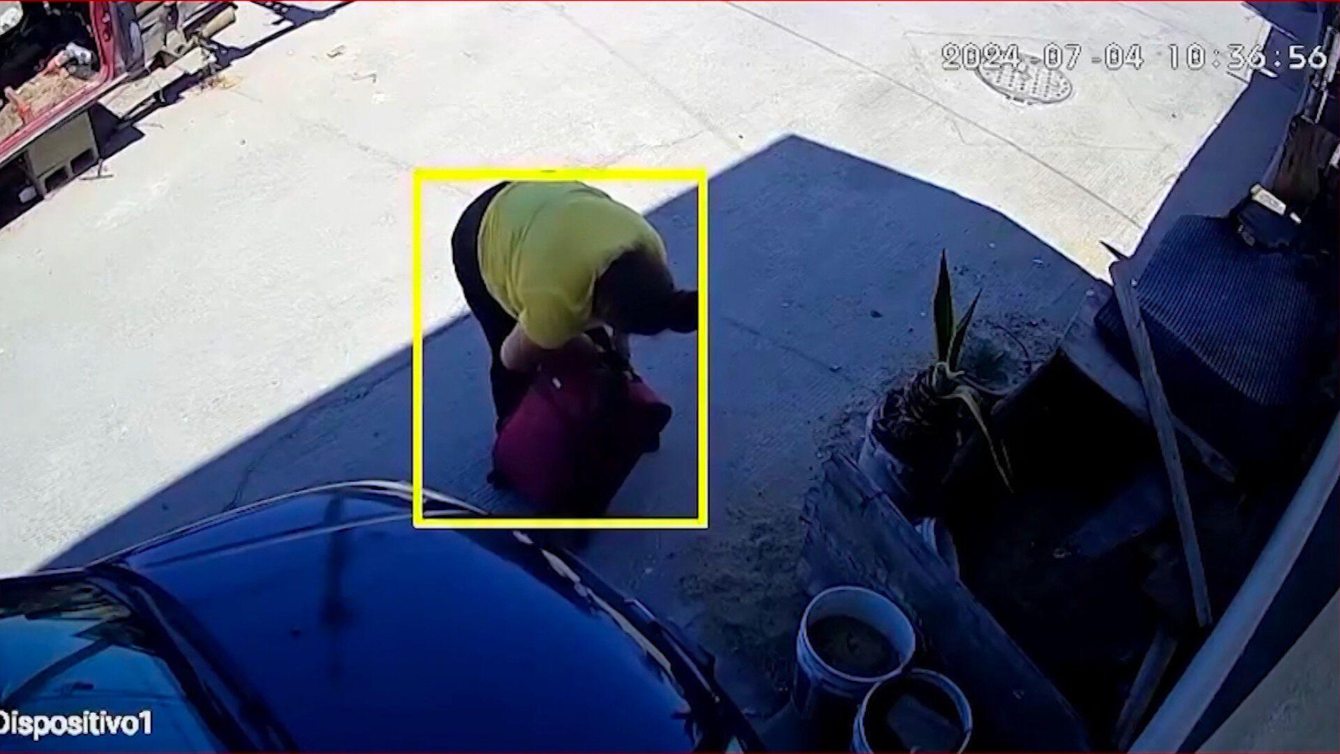 Video: Mujer Mete a Niño en Maleta para Protegerlo de Perros y Poder Entrar a su Casa