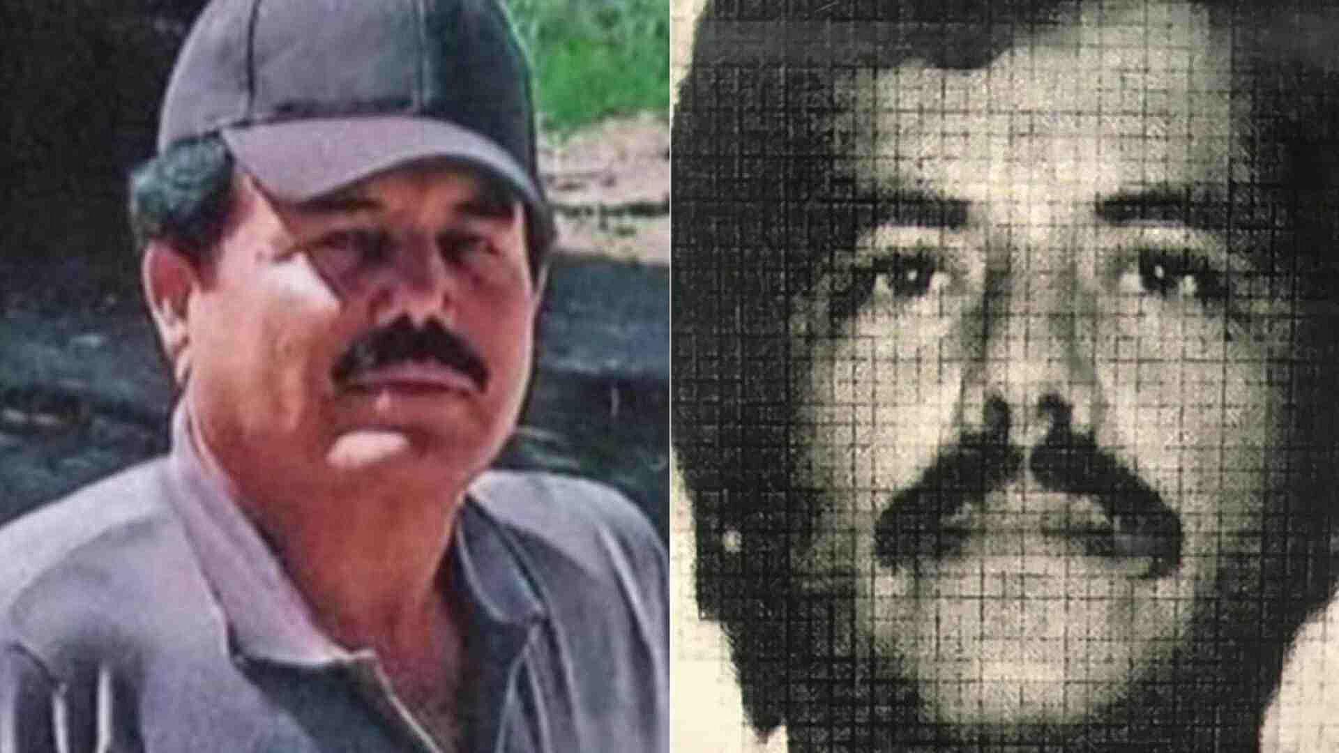 'El Mayo Flaco' Podría Ser el Sucesor de 'El Mayo' Zambada: Eduardo ...