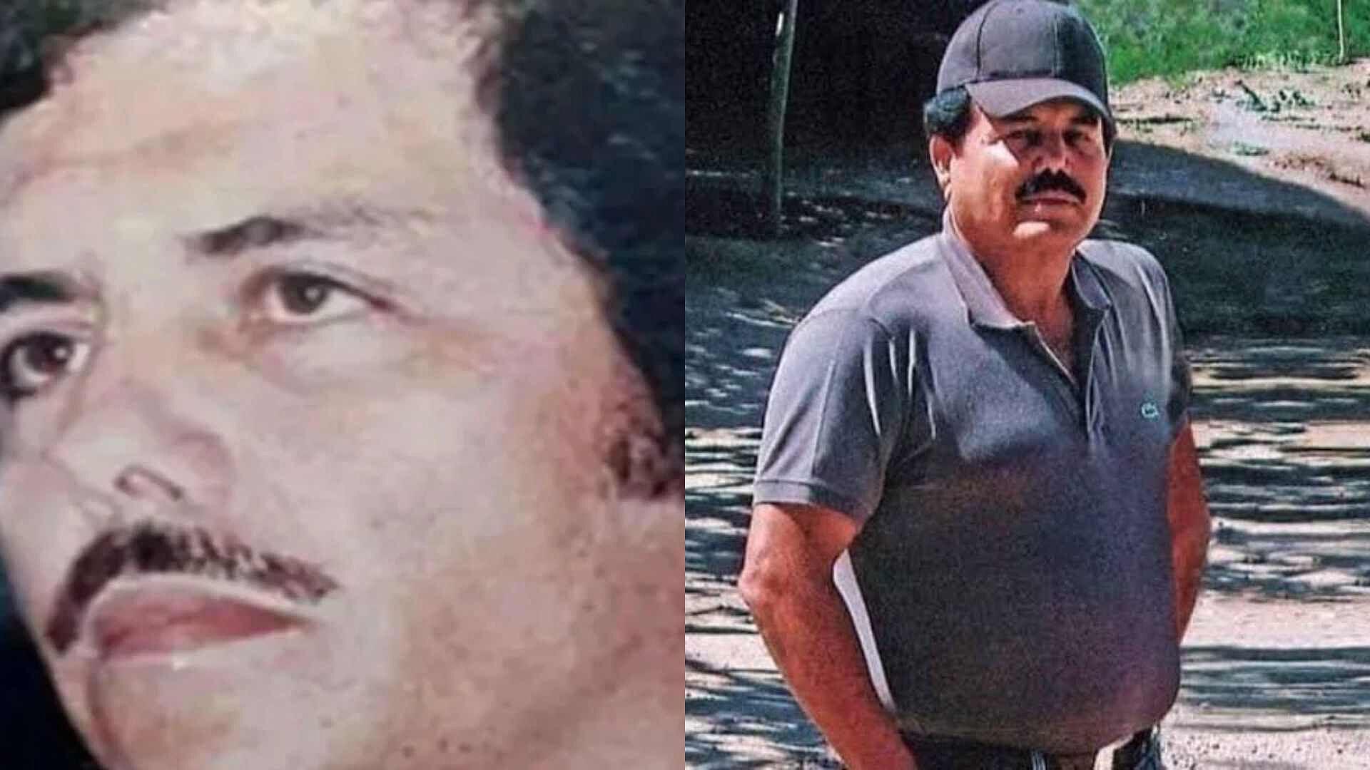 ¿Crisis en el Cartel de Sinaloa? Esto Podría Pasar Tras la Entrega de